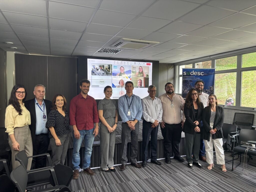 Reunião de alinhamento sobre as entregas das componentes do projeto CITInova II. 